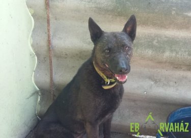 65945261_1325830217570528_2193873091547889664_n