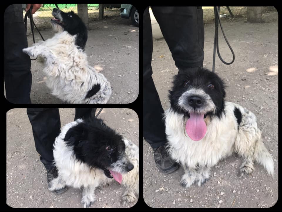 67171993_1338167016336848_5150217257409839104_n