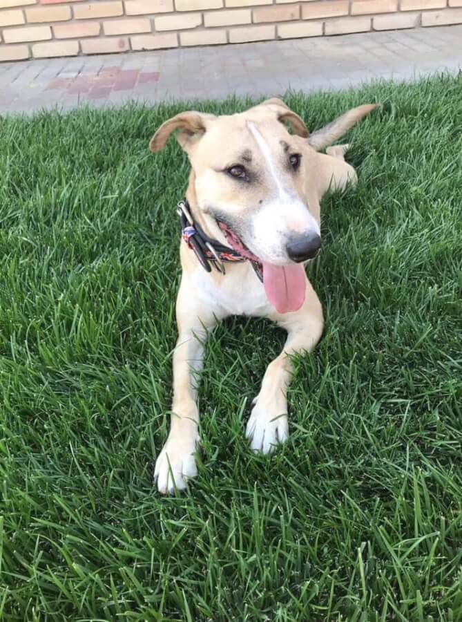 67210735_1342728262547390_8827481837208076288_n