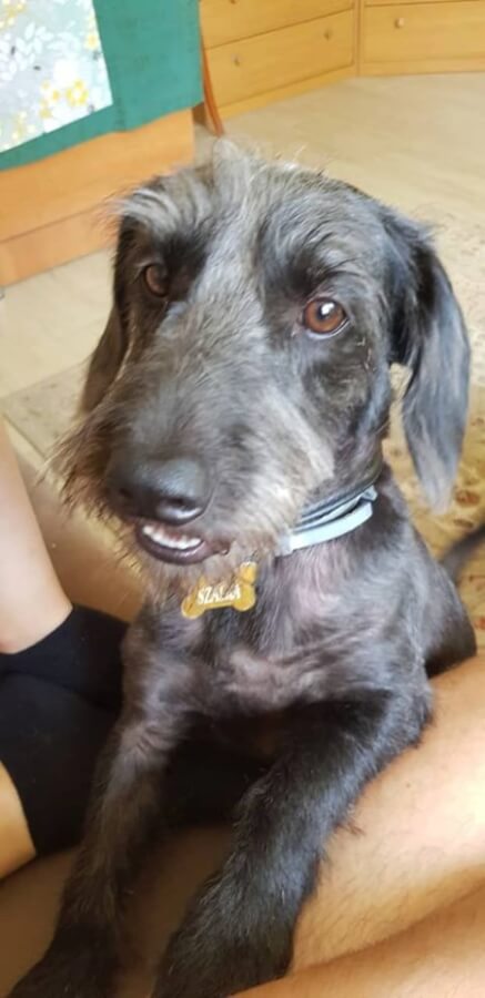 67334148_1344984225655127_2305919579890647040_n