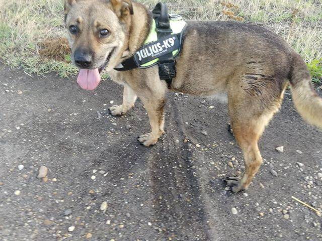 67066790_1347521982068018_3912371815430750208_n (1)