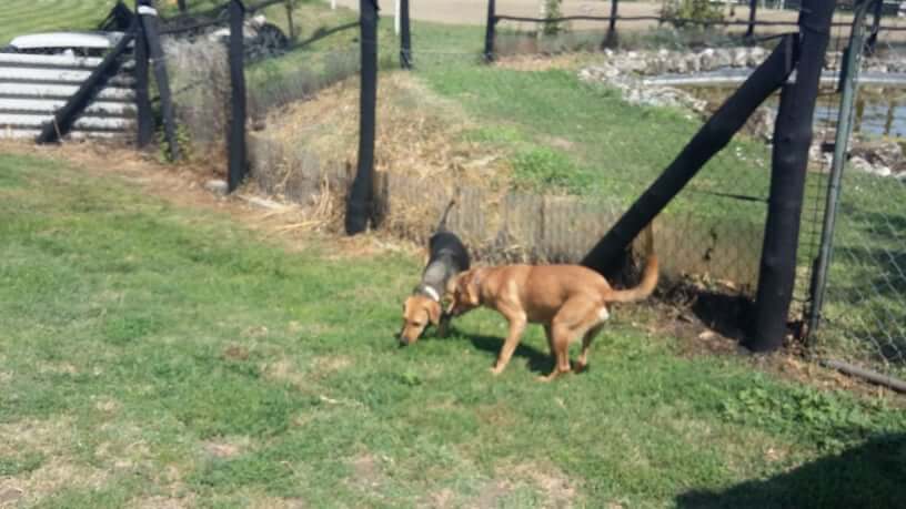 67377235_355515495126071_8892408784807264256_n