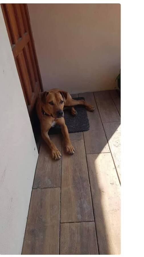 67792064_1347382148748668_8897731550662098944_n