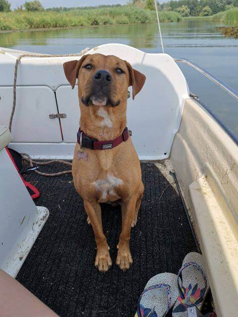 68327535_1355300914623458_8839878598883016704_n