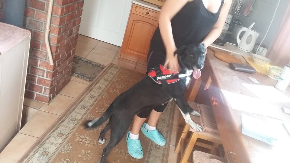 70027400_1377829045703978_4432562650706083840_n