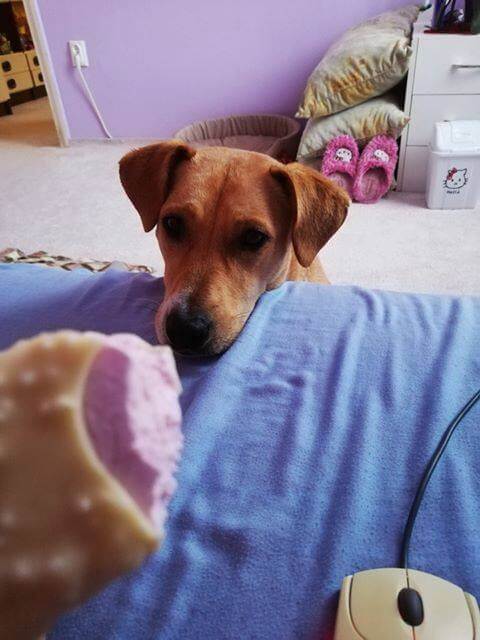 70029722_1376857979134418_5768744109116227584_n