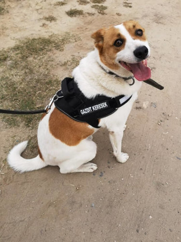 70850278_3123321004377180_5377794985875734528_n