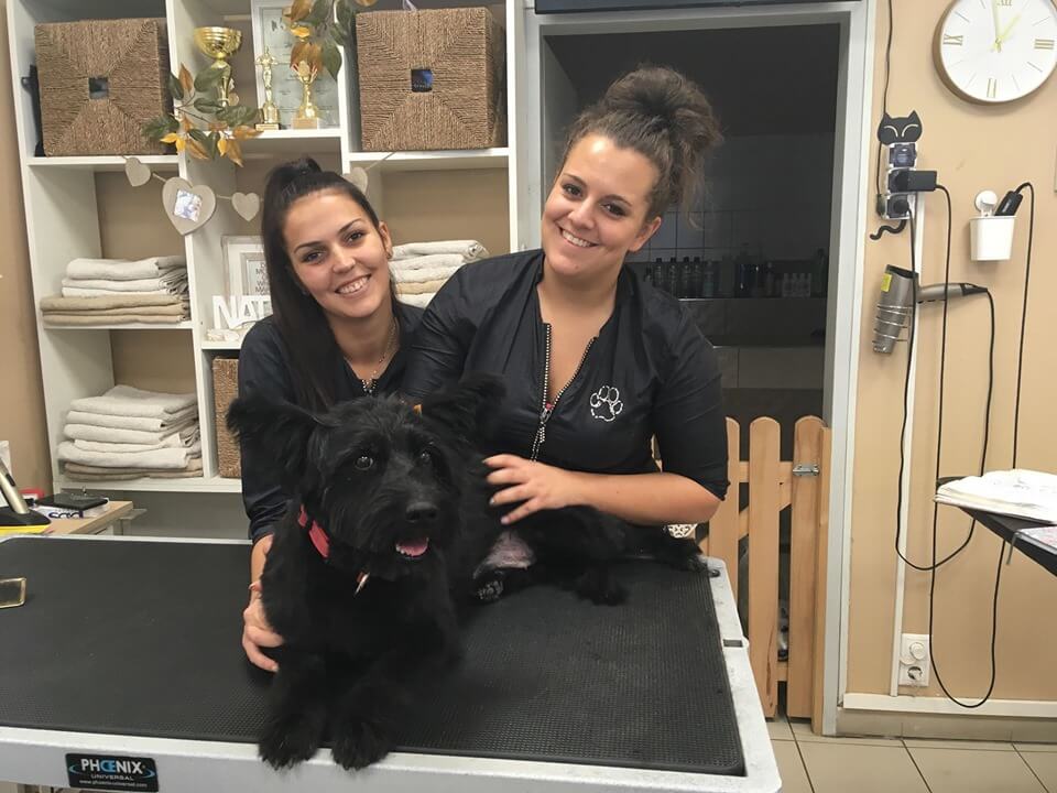 72085793_1388503727969843_3320226160389914624_n