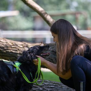 A62U2666_2 A62U2666_2