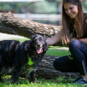 A62U2675_2 A62U2675_2