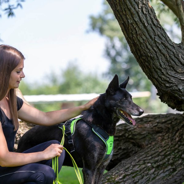 A62U2725_2 A62U2725_2