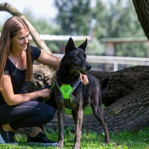 A62U2741_2 A62U2741_2