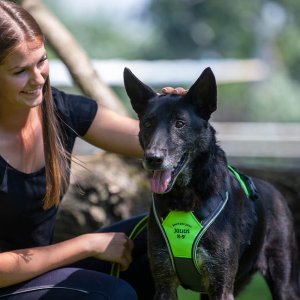 A62U2746_2 A62U2746_2