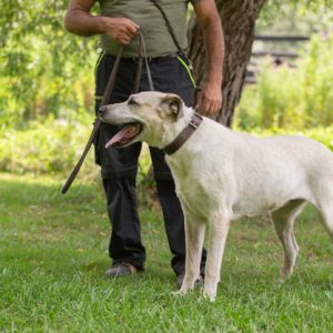 Honney21_0 Honney21_0