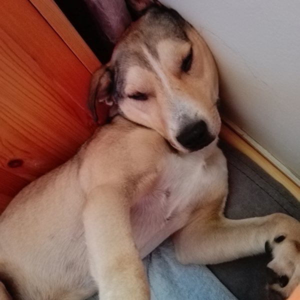 Beni_2019.10.16._1 Beni_2019.10.16._1