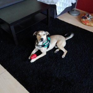 Beni_2019.10.16._2 Beni_2019.10.16._2