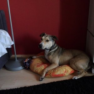 Beni_2019.10.16._4 Beni_2019.10.16._4