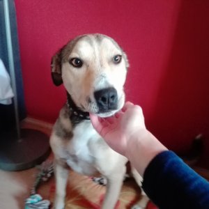 Beni_2019.10.16._5 Beni_2019.10.16._5