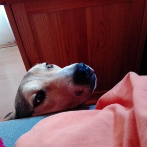 Beni_2019.10.16._6 Beni_2019.10.16._6