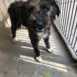 Nintendó1 Nintendó1