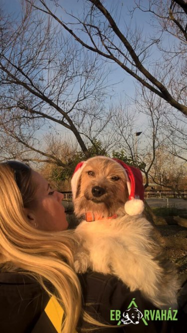 74230423_537996773453359_6300042794970906624_n