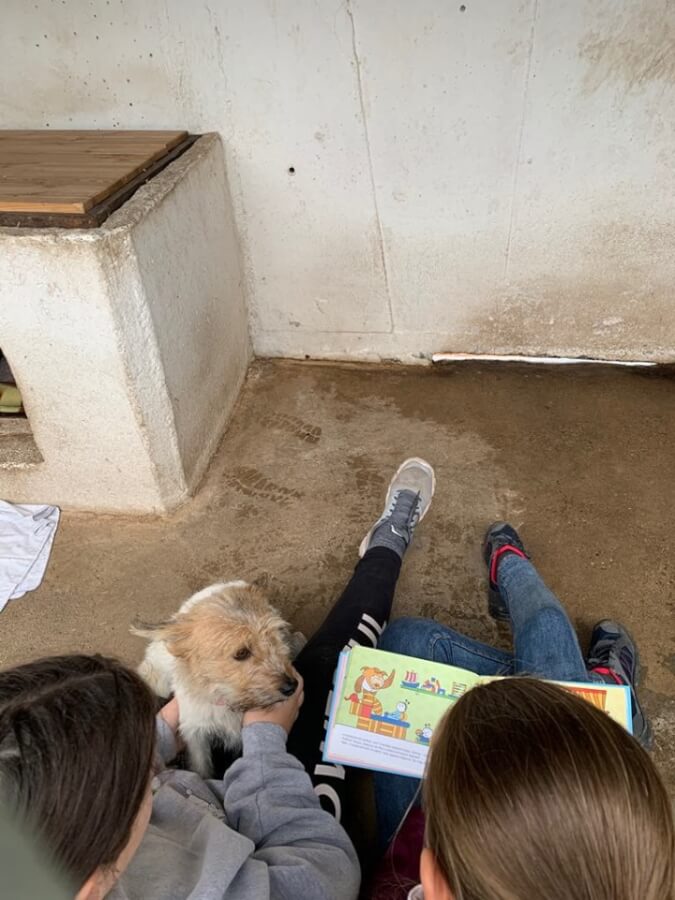 74594357_1431456530341229_433704856952242176_n