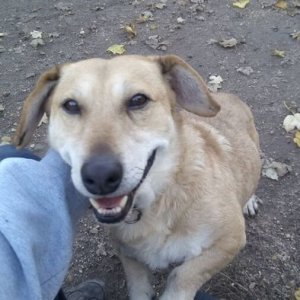 77143156_1441304756023073_5867417460868644864_o 77143156_1441304756023073_5867417460868644864_o