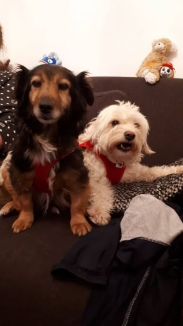 78199996_1454422791377936_7164191000905121792_o