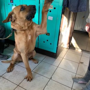 78741062_1453718054781743_3095578278224723968_n