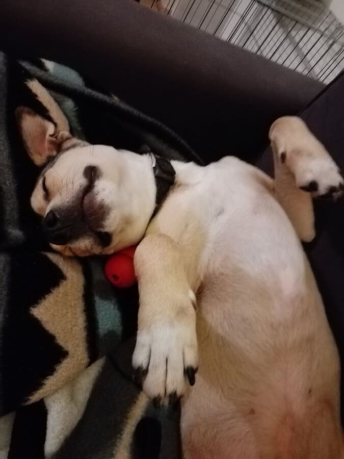 79940397_1464697333683815_8613547016523350016_o