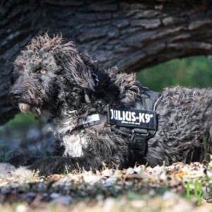 Nintendó10 Nintendó10