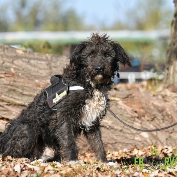 Nintendó6 Nintendó6