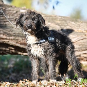 Nintendó8 Nintendó8