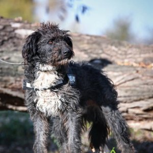 Nintendó9 Nintendó9