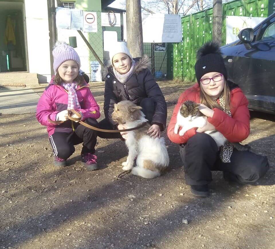 81426569_1486979024788979_7845755031780327424_o