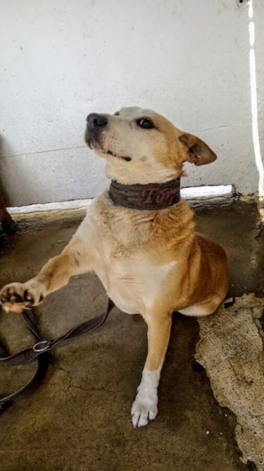 81749668_2690480521028281_2756967673697927168_o