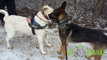 82331661_1499797533507128_90457646250852352_n