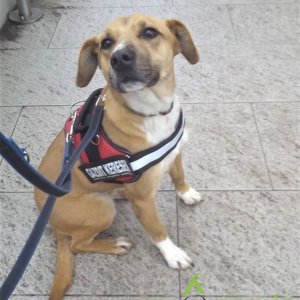 83228928_1512425108911037_8577079664688758784_o 83228928_1512425108911037_8577079664688758784_o