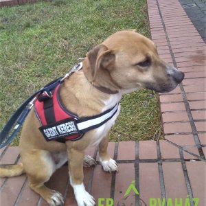 84415214_1512424998911048_6039819466764713984_o 84415214_1512424998911048_6039819466764713984_o