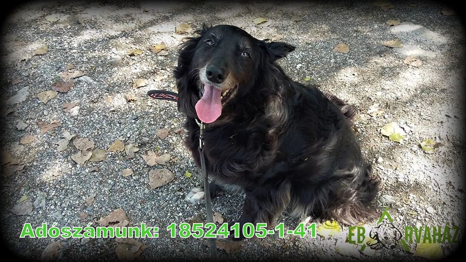 84119799_1514682005352014_5368414270495129600_o (1)