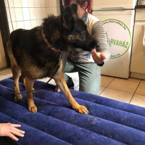 84321437_1519030361583845_7038572707964780544_o 84321437_1519030361583845_7038572707964780544_o