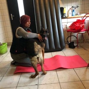 84712956_1519030024917212_8763044636139716608_o 84712956_1519030024917212_8763044636139716608_o