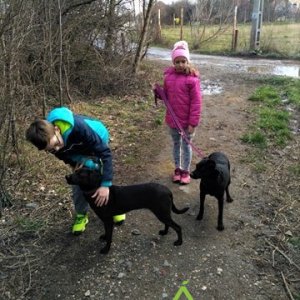 Bájos-Bársony_2020.03.07._1