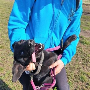 Bájos-Bársony_2020.03.08._5