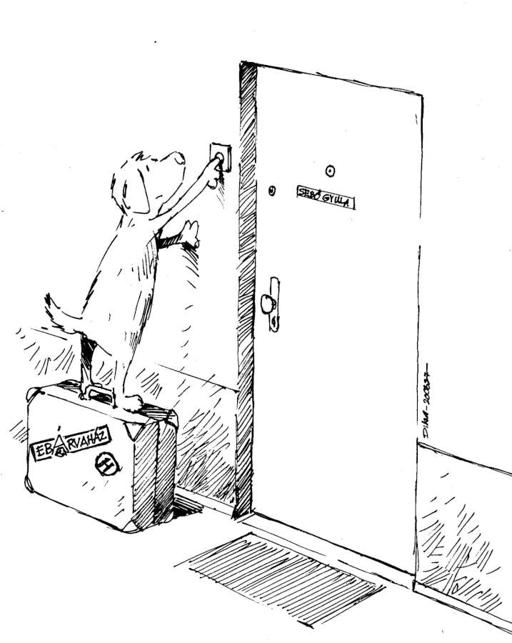 Mehleytől az otthonig_2020.03