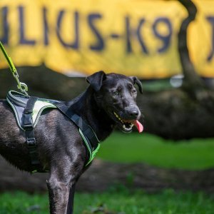 A62U2402_2 A62U2402_2