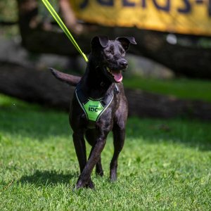 A62U2419_2 A62U2419_2