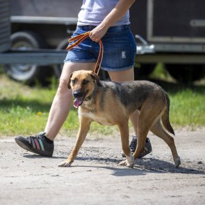 A62U2457_2 A62U2457_2