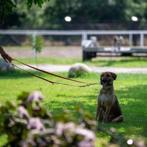 A62U2502_2 A62U2502_2