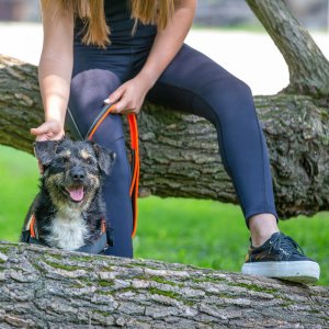 A62U2545_2 A62U2545_2